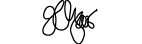 Frank Gehry Signature