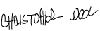 Christopher Wool Signature
